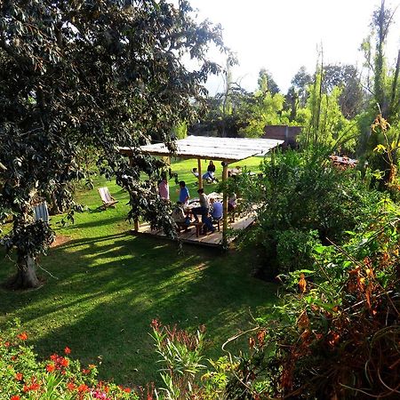 Bed and Breakfast La Casa Del Tilo à Hacienda Santa Rosa Extérieur photo
